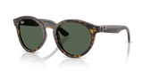 Havana / Dark Green (6790VR)