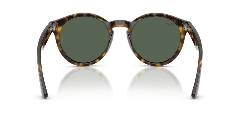 Ray-Ban RBR0505S in Havana / Dark Green (6790VR) - Alternate View