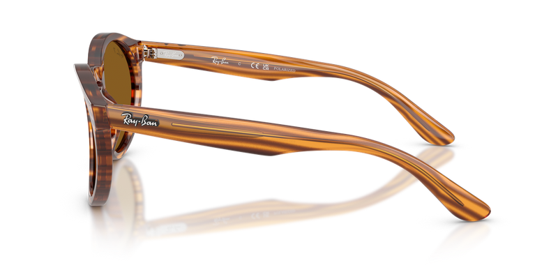 Ray-Ban RBR0505S in Striped Havana / Dark Brown Polarized (679183) - Alternate View