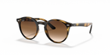 Havana / Dark Brown (152/13)