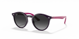 Violet / Light Grey Gradient Dark Grey (70218G)