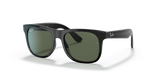 Black / Dark Green (100/71)