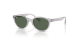 Transparent Grey / Dark Green (717171)