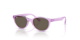 Transparent Violet / Brown (7172/3)