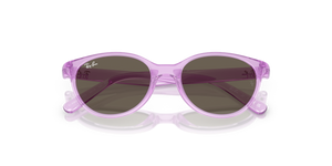 Transparent Violet / Brown (7172/3)