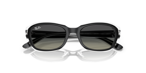 Black On Transparent / Grey Gradient (715811)
