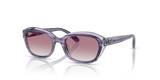 Striped Violet On Transparent Violet / Grey Gradient Violet (71748G)