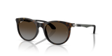 Havana / Light Grey Brown Polarized (7182T5)