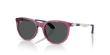Transparent Violet / Dark Grey (718687)