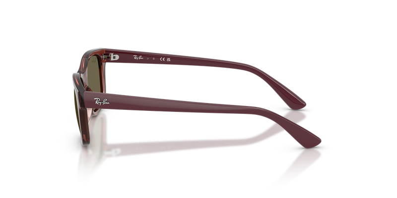 Ray-Ban Junior RJ9086SF in Transparent Violet - Alternate View