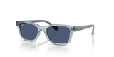 Transparent Grey / Blue (719880)