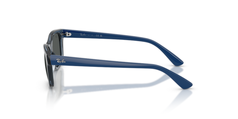 Ray-Ban Junior RJ9086S in Transparent Blue - Back View