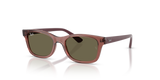 Transparent Violet / Brown (7197/3)