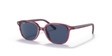 Transparent Pink / Dark Blue (711280)