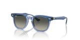 Top Violet On Transparent Violet / Grey (715911)