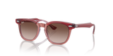 Top Red & Orange & Light Purple / Brown (715413)