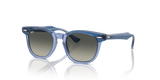 Top Violet On Transparent Violet / Grey (715911)