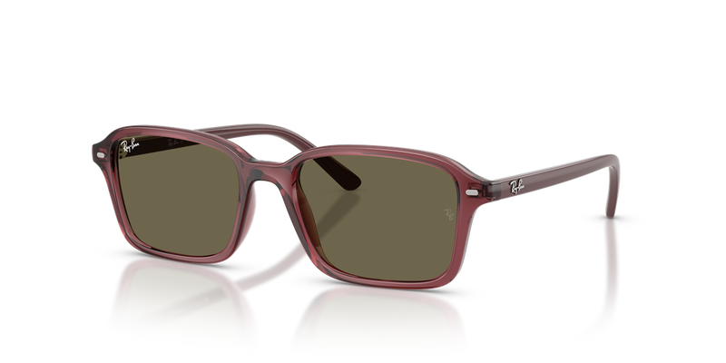Ray-Ban Junior 0RJ9131S in Transparent Dark Violet - Alternate View