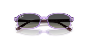 Transparent Violet / Gradient Grey (719911)