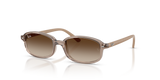 Transparent Beige / Gradient Brown (720013)