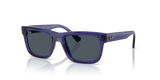 Transparent Violet / Dark Grey (719187)