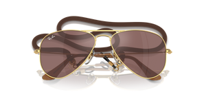 Arista Gold / Brown Mirror Silver (223/6G)