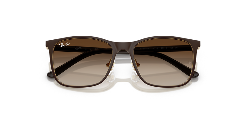 Ray-Ban Junior 0RJ9551S in Brown On Arista - Alternate View