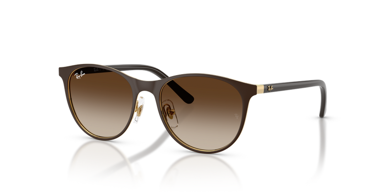 Ray-Ban Junior 0RJ9552S in Matte Brown On Arista Gold - Alternate View