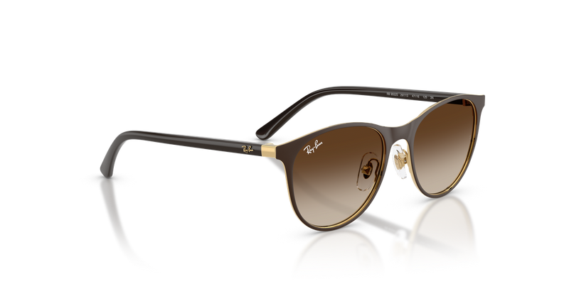 Ray-Ban Junior 0RJ9552S in Matte Brown On Arista Gold - Alternate View