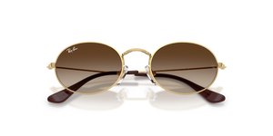 Arista / Light Brown Gradient Dark Brow (223/13)