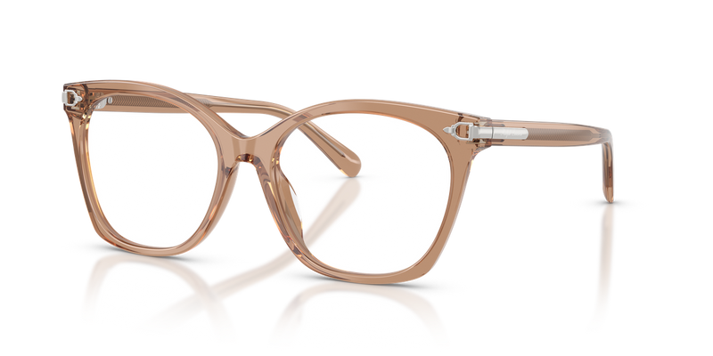 Ralph Lauren RL6266U in Transparent Dusty Brown - Alternate View