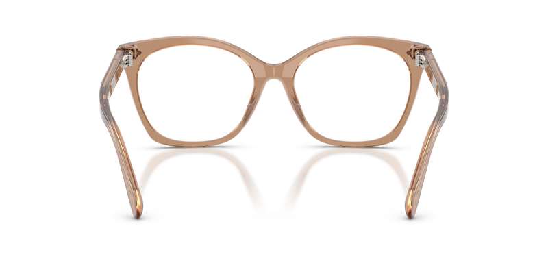 Ralph Lauren RL6266U in Transparent Dusty Brown - Alternate View
