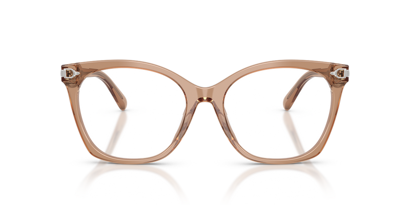 Ralph Lauren RL6266U in Transparent Dusty Brown - Alternate View