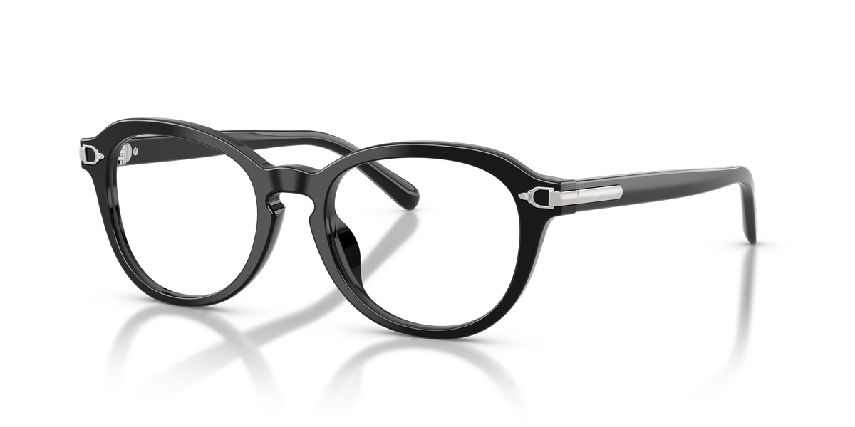 Ralph Lauren RL6267U