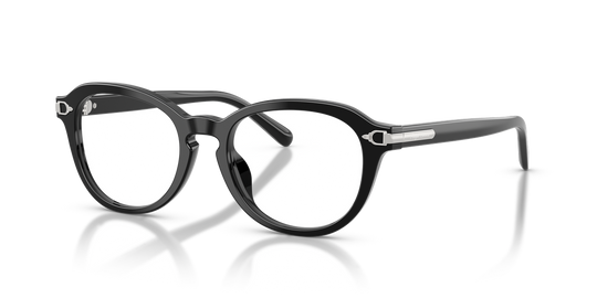 Ralph Lauren RL6267U - Shiny Black / Demo Lens (5001)