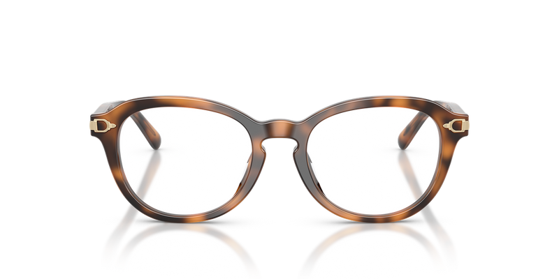Ralph Lauren RL6267U in Havana - Alternate View