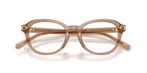 Transparent Dusty Brown / Demo Lens (6377)