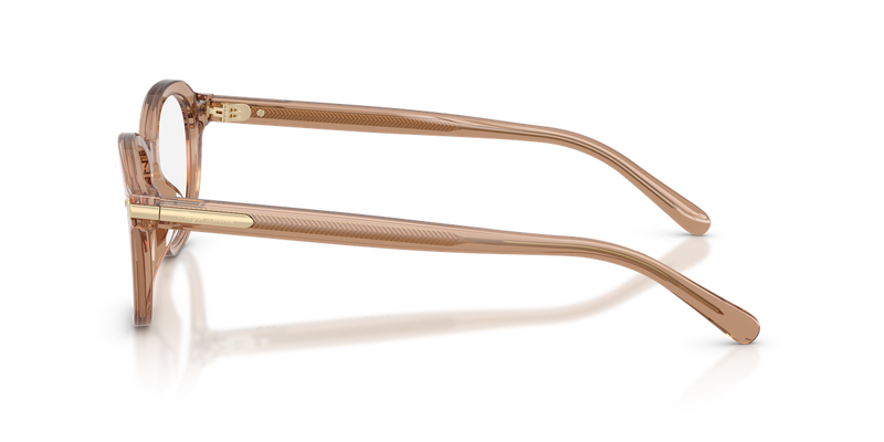 Ralph Lauren RL6267U in Transparent Dusty Brown - Alternate View
