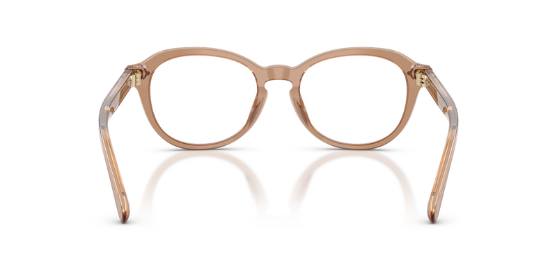 Ralph Lauren RL6267U in Transparent Dusty Brown - Alternate View