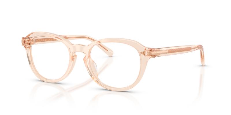 Ralph Lauren RL6267U in Transparent Rose - Alternate View