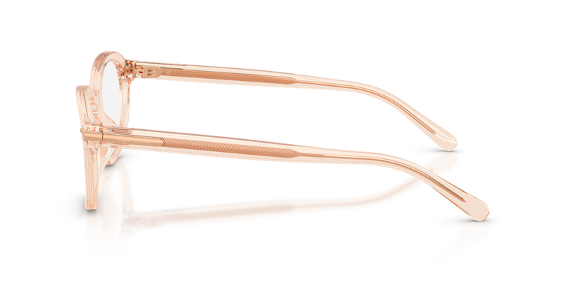 Ralph Lauren RL6267U in Transparent Rose - Alternate View