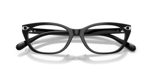 Shiny Black / Demo Lens (5001)