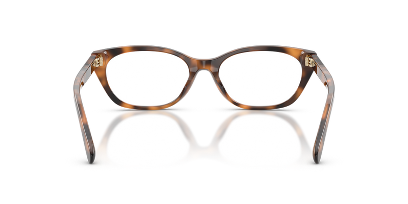 Ralph Lauren RL6268U in Havana - Temple Detail