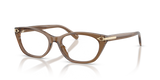 Transparent Dusty Brown / Demo Lens (6377)
