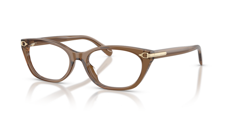 Ralph Lauren RL6268U in Transparent Dusty Brown - Alternate View