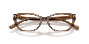Transparent Dusty Brown / Demo Lens (6377)