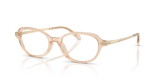 Transparent Brown / Demo Lens (6062)