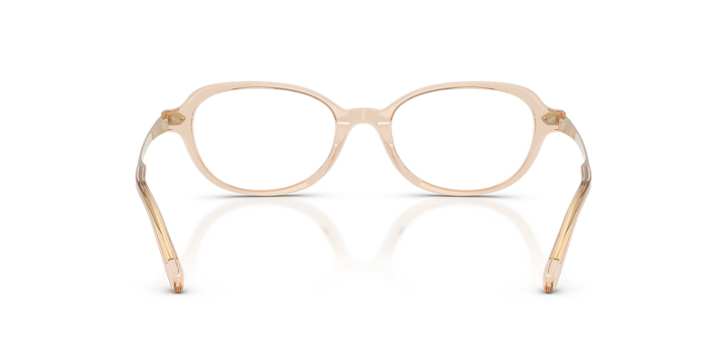 Ralph Lauren RL6269U in Transparent Brown - Alternate View
