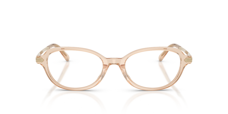 Ralph Lauren RL6269U in Transparent Brown - Alternate View