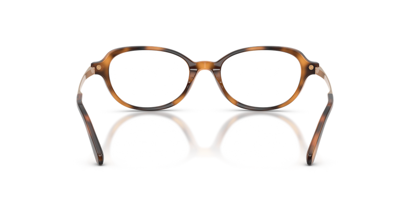 Ralph Lauren RL6269U in Havana - Alternate View